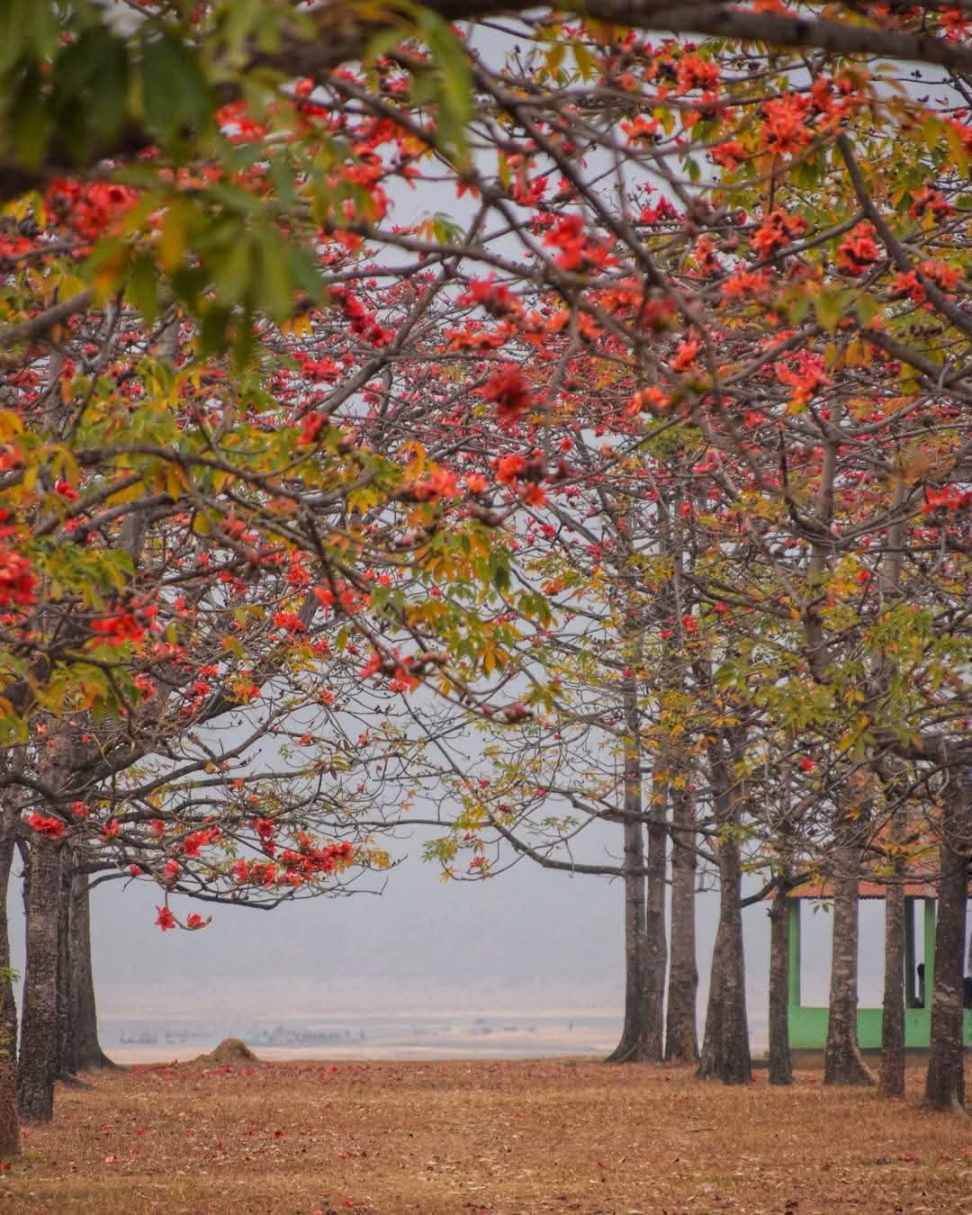 21 February Book Fair